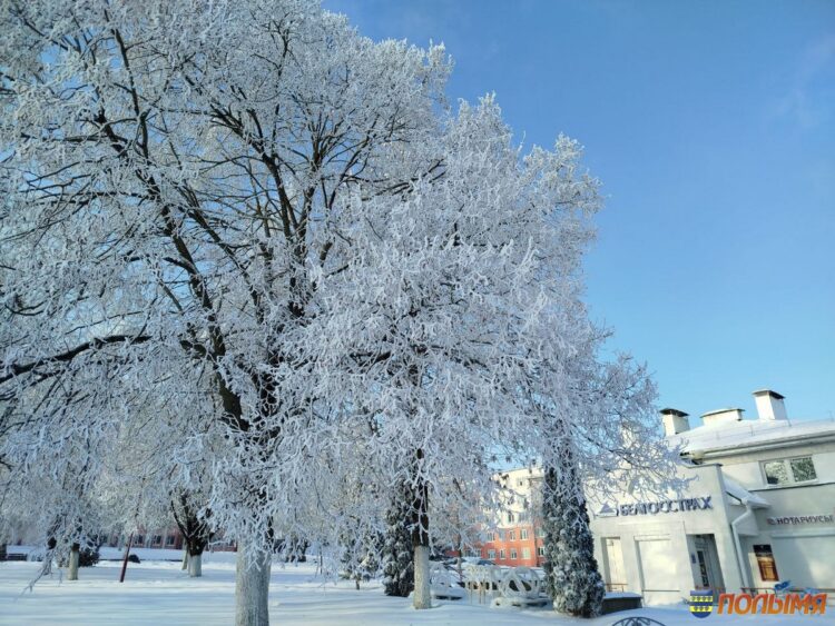 Фото настоящей зимы в Кореличах, которую мы так ждали