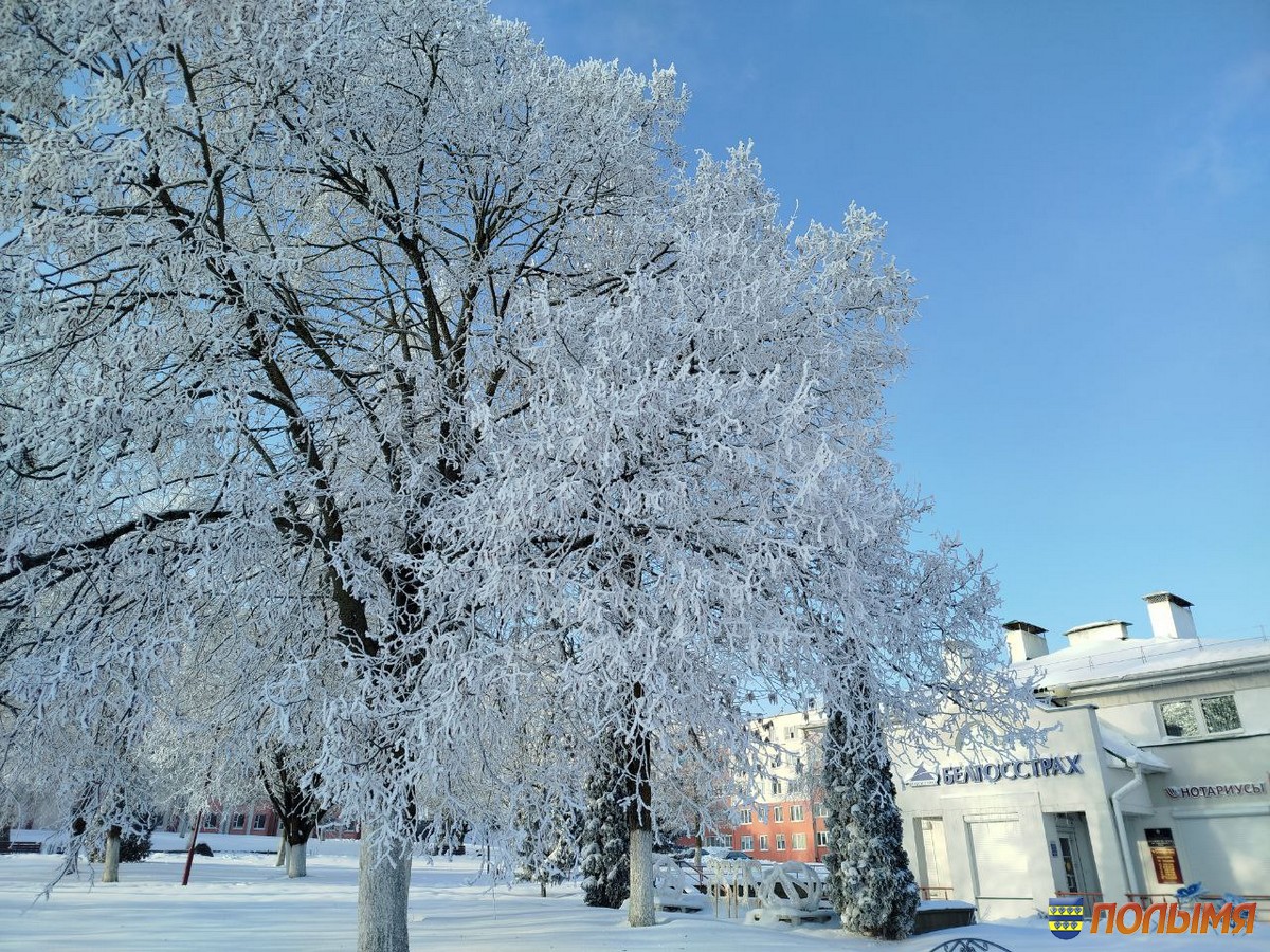 Фото настоящей зимы в Кореличах, которую мы так ждали