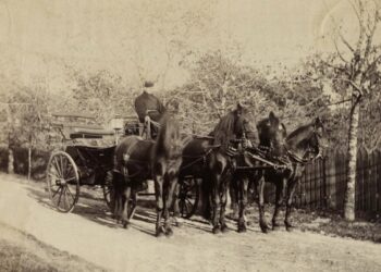 Гужевой транспорт и способы запряжки лошадей на фотографиях князей Витгенштейнов из собрания музея «Замковый комплекс «Мир»