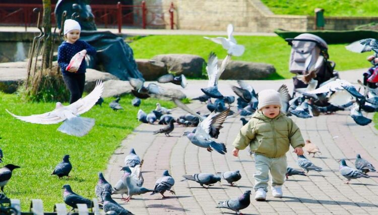 Какой будет погода на Гродненщине 24 марта, ответили синоптики