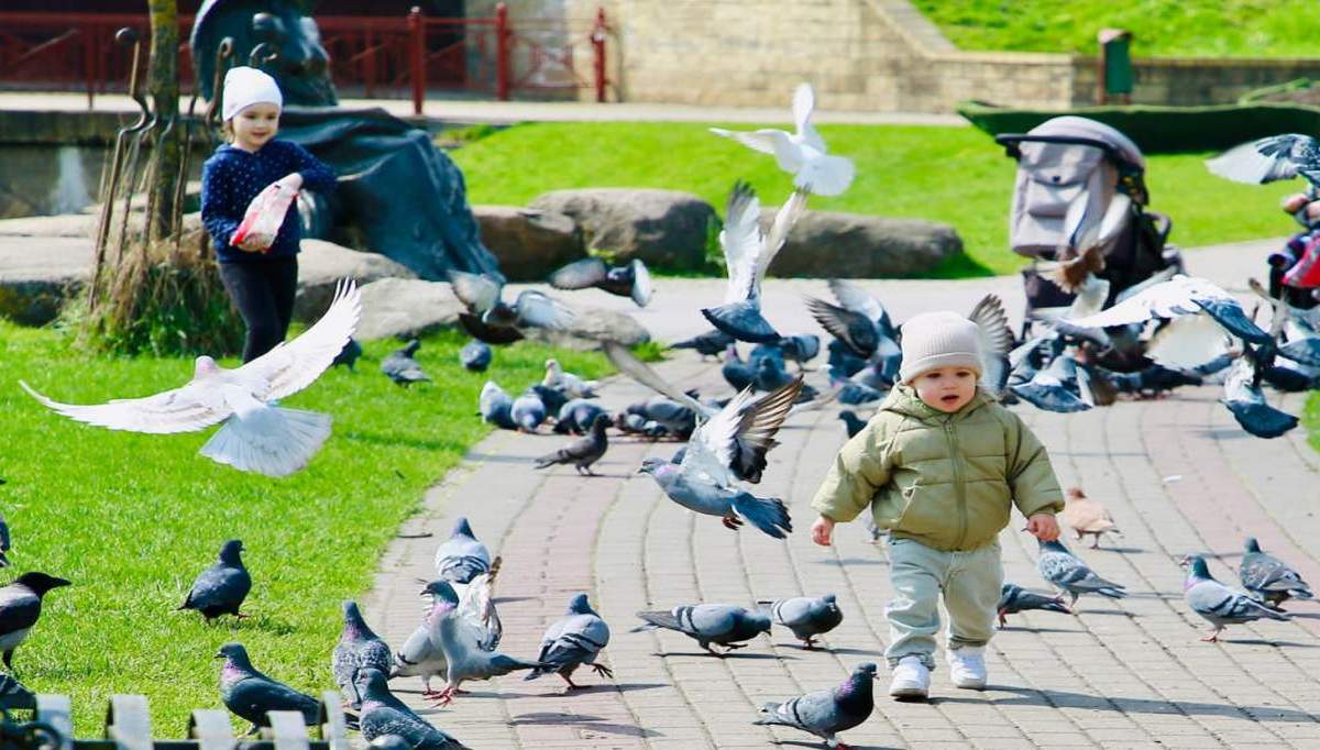 Какой будет погода на Гродненщине 24 марта, ответили синоптики