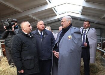 Александр Лукашенко ориентирует на более быстрое развитие племенного животноводства в Беларуси