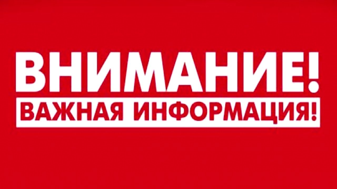 Узнали, где в Кореличах запрещено устройство грядок