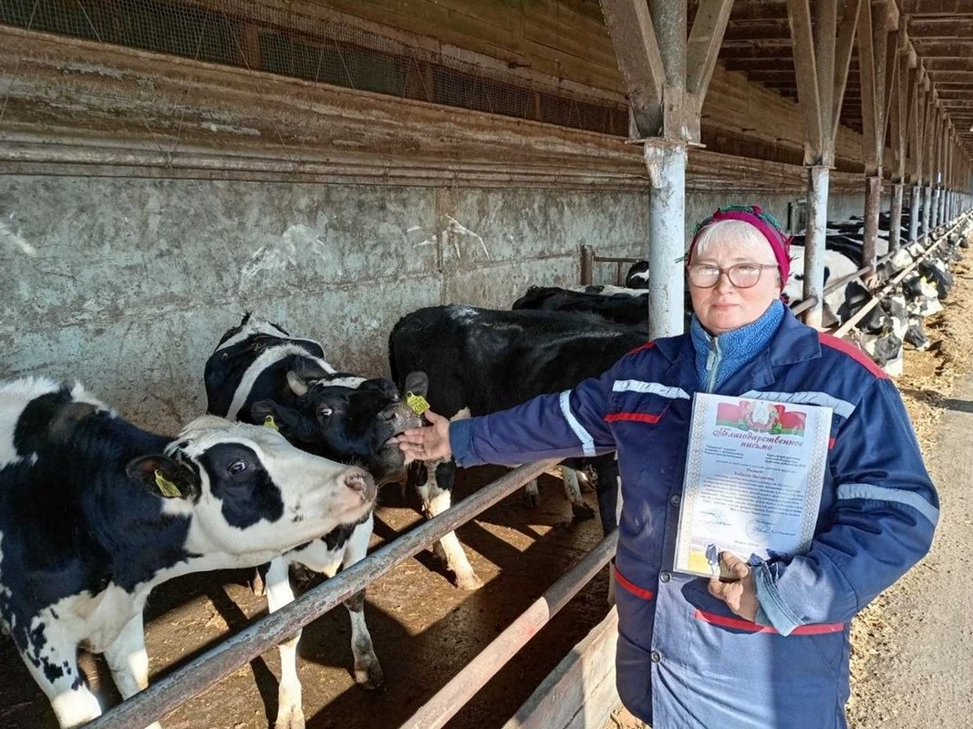 В СПК «Жуховичи» чествуют аграриев в рамках акции «Наш животновод»