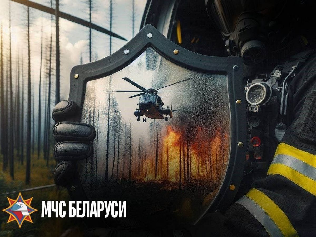 В Кореличском районе проходит специальное комплексное мероприятие «Зелёный щит»