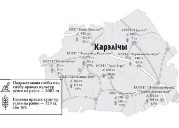 В Кореличском районе посеяно 16% яровых культур (+инфографика)