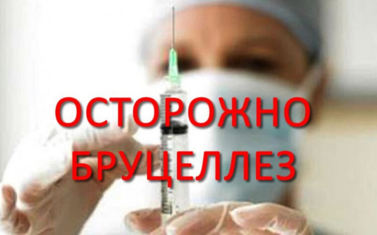 В 2025 году в Кореличском районе был зарегистрирован случай бруцеллеза среди населения