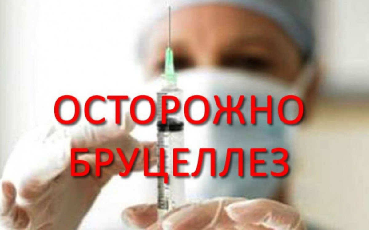 В 2025 году в Кореличском районе был зарегистрирован случай бруцеллеза среди населения