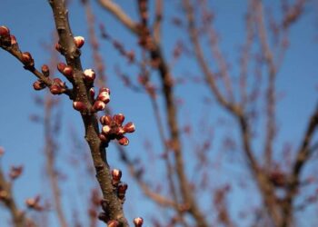 Какой будет погода на Гродненщине в последний день марта?