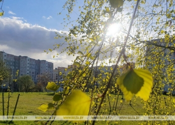 Снова дождь и мокрый снег? Какой будет погода 28 апреля в Беларуси, рассказали в Белгидромете