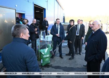 Развитие юго-востока Могилевской области стало темой совещания у Александра Лукашенко