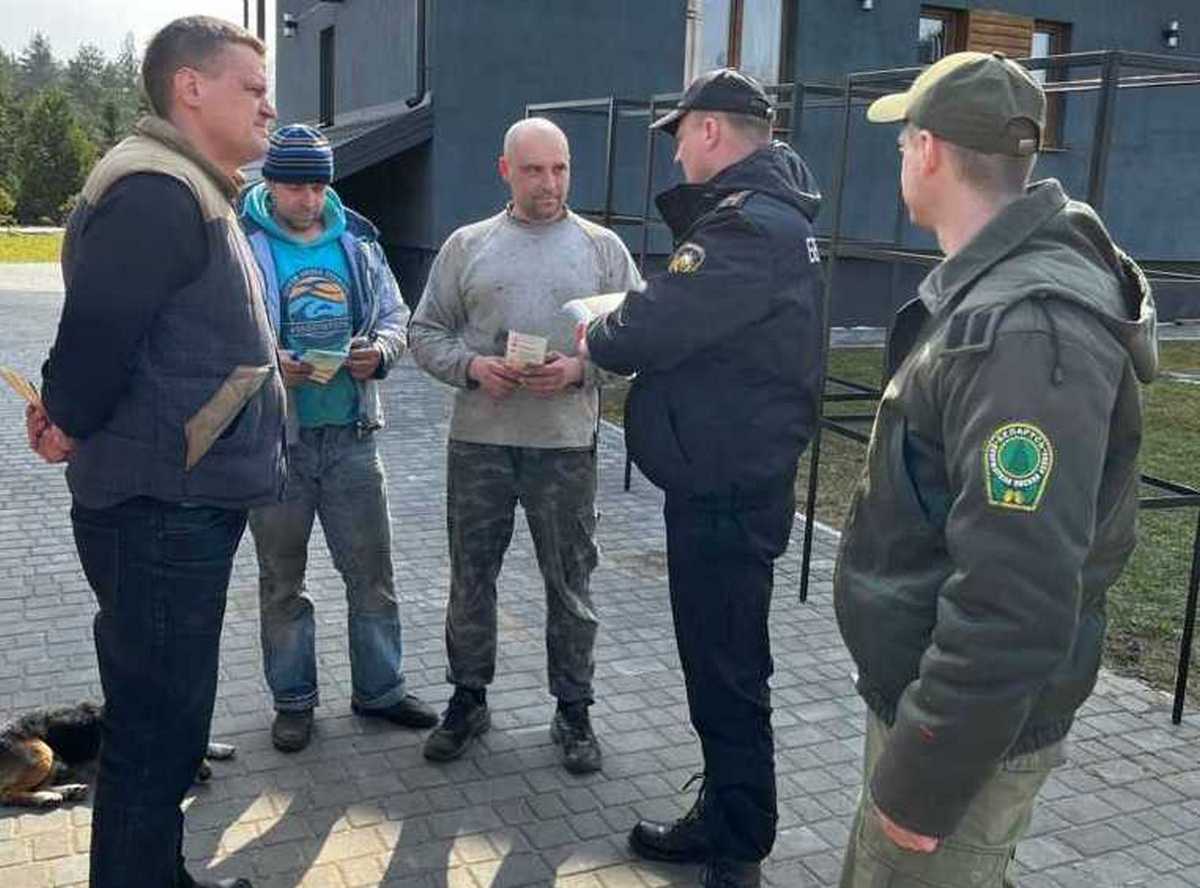 В центре внимания — «Зелёный щит»: МЧС усиливает профилактику в экосистемах