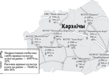 У Карэліцкім раёне яравыя культуры пасеяны на 36% плошчаў