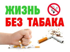 31 мая — Всемирный день без табака. Как избавиться от зависимости