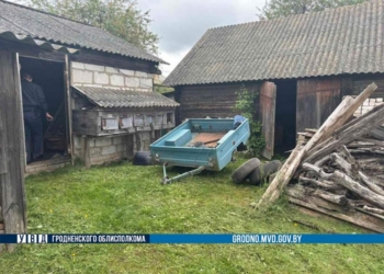 В Кореличском районе прицеп угнали прямо с обочины
