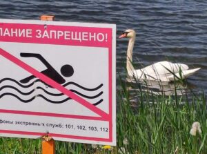 В Кореличском ОСВОД напомнили правила поведения на воде