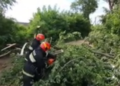 Поваленные деревья и поврежденные крыши: стихия прошлась по Гродненщине