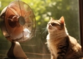 Красный уровень опасности и до +38°C: погода в области 29 июня