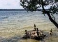 Первая фоторабота пришла на конкурс «Люблю Беларусь»