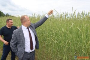 Смотр-конкурс состояния сельскохозяйственных культур состоялся в Кореличском районе
