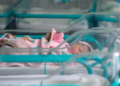 В День Независимости в Беларуси родились 116 малышей