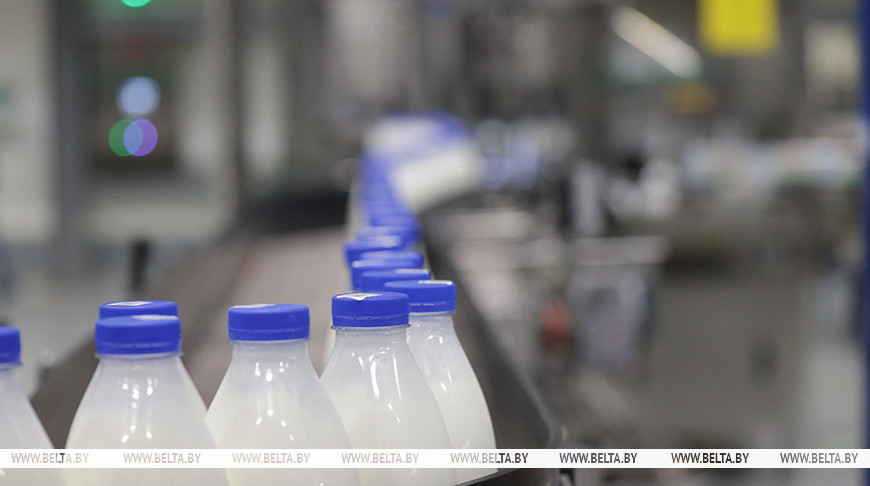 Валютная выручка от экспорта сельхозпродукции по итогам года может превысить $11 млрд — Горлов