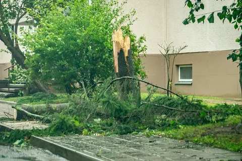В Литве заявляют, что ликвидация аварий на энергосетях после бури может занять неделю