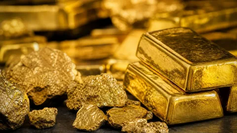 Золотовалютные резервы Беларуси на начало августа составили $14,2 млрд, увеличившись за июль на $39,7 млн.