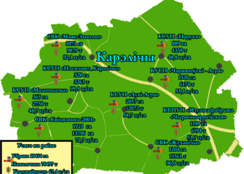 В Кореличском районе убрана половина полей