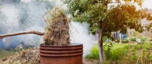 Можно ли сжигать мусор на дачном участке, рассказали в Кореличском РОЧС