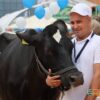 Буренки из Кореличского района завоевали две бронзовые медали в республиканском конкурсе на лучшую племенную корову молочной породы